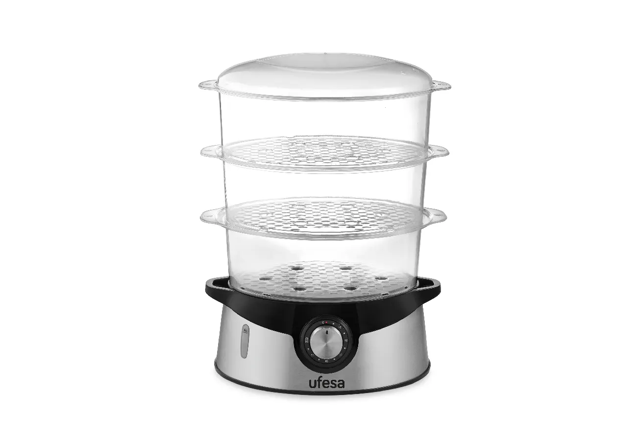 CV4000_01 UFESA Steamer 9L